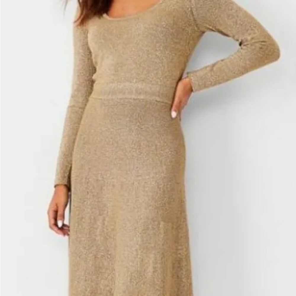 Ann Taylor glitter scoop neckline flare midi dress